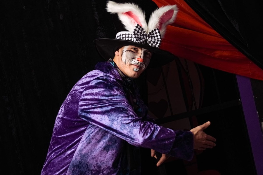 Квест в реальности Безумие Шляпника от компании Черный кот Квест в реальности Безумие Шляпника от компании Черный кот