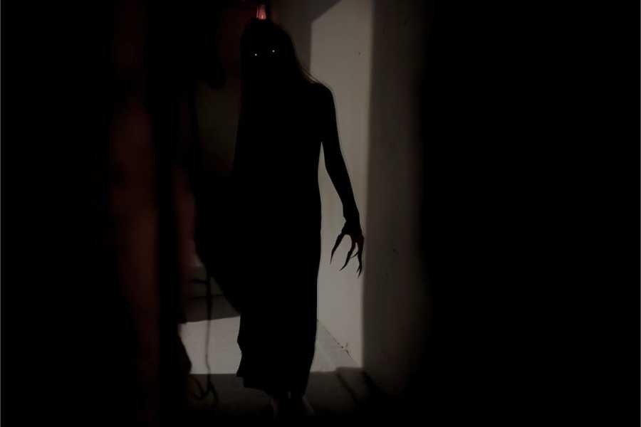 Квест в реальности И гаснет свет от компании Scream House Квест в реальности И гаснет свет от компании Scream House