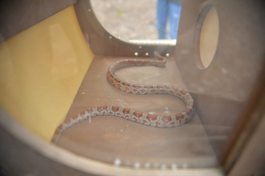 Квест в реальности Форт Боярд от компании Форт Боярд Квест в реальности Форт Боярд от компании Форт Боярд